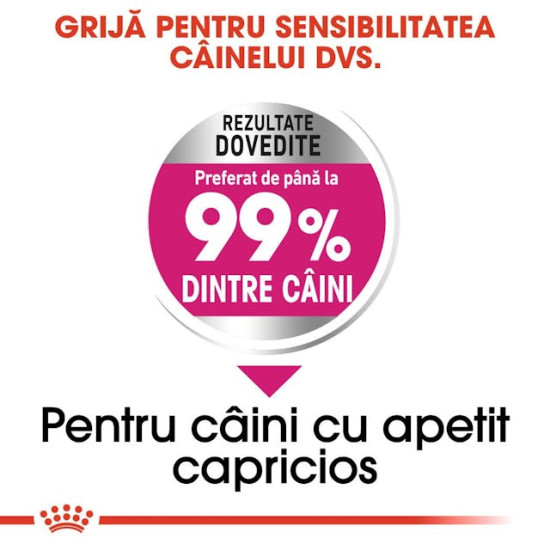 Royal Canin Mini Exigent Care – Hrană Uscată pentru Câini Adulți de Talie Mică, cu Apetit Capricios – 3 kg